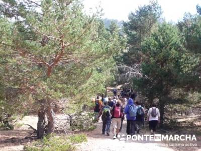 Senderismo Cueva Valiente - Pico Cueva Valiente - Entre pinar segoviano; senderismo nocturno